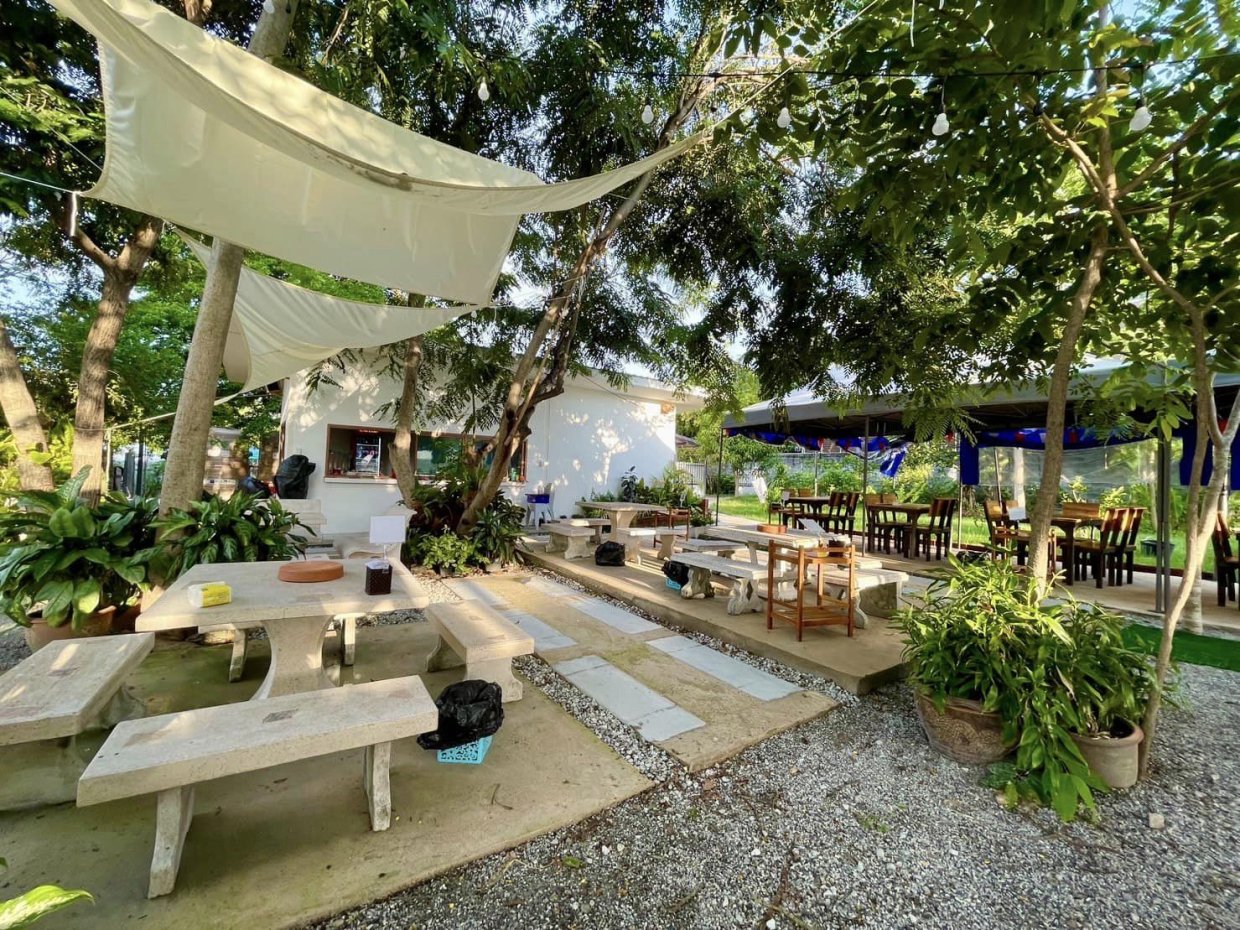 นิยมหมูอ้างศิลา