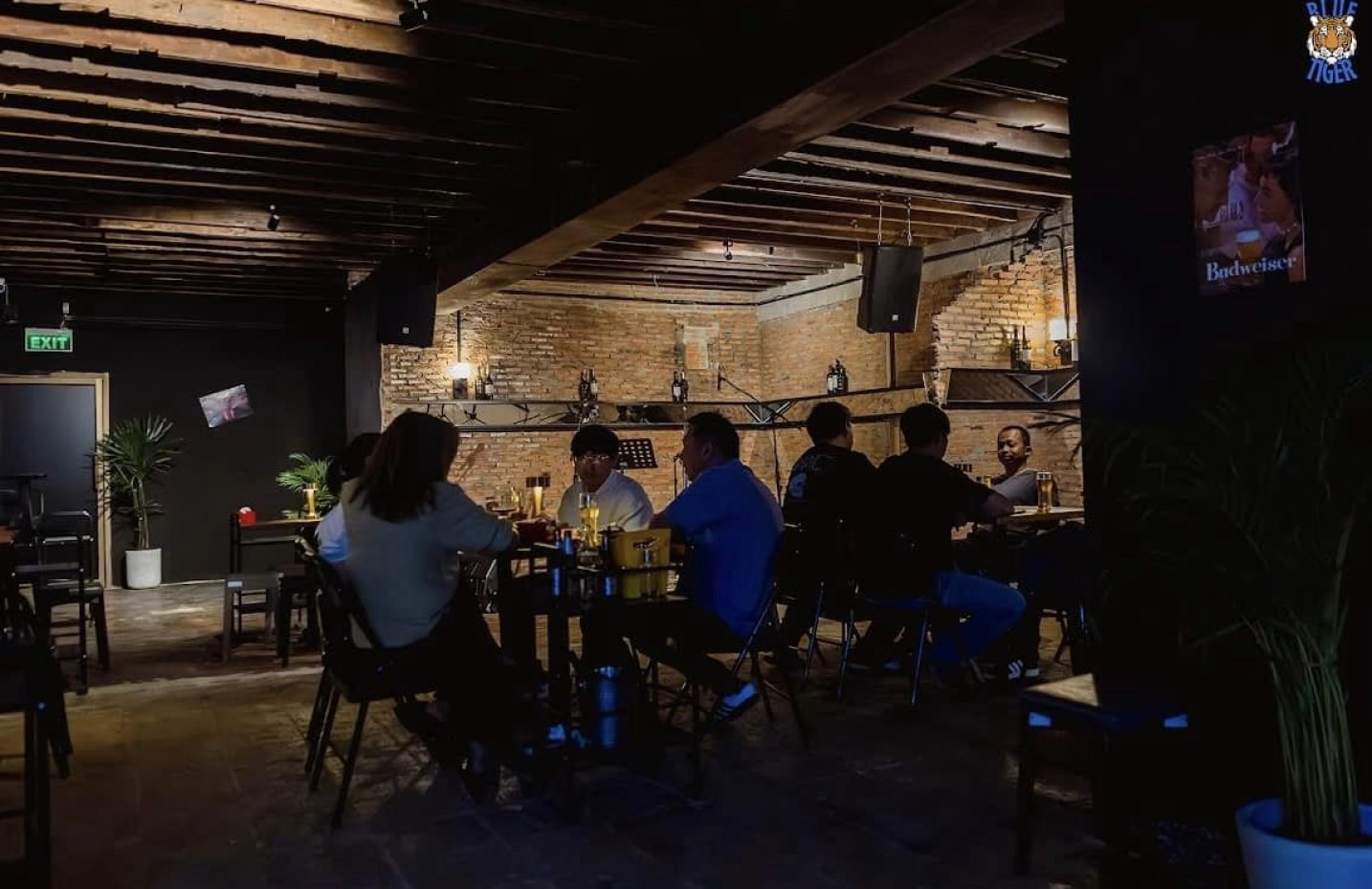 บลูไทเกอร์ บาร์