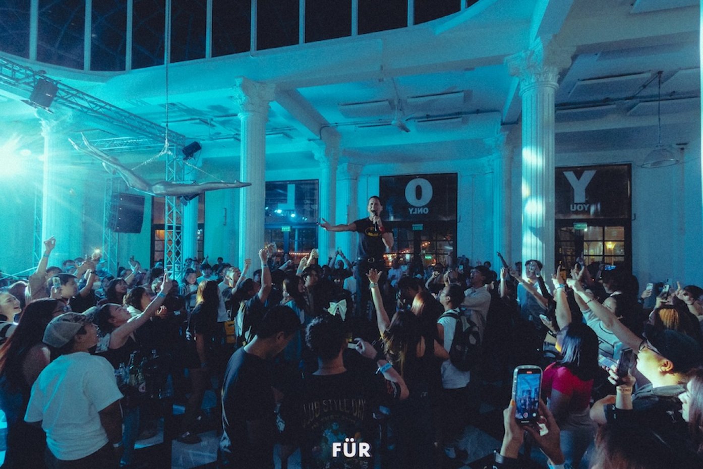 FUR CAFE CNX
