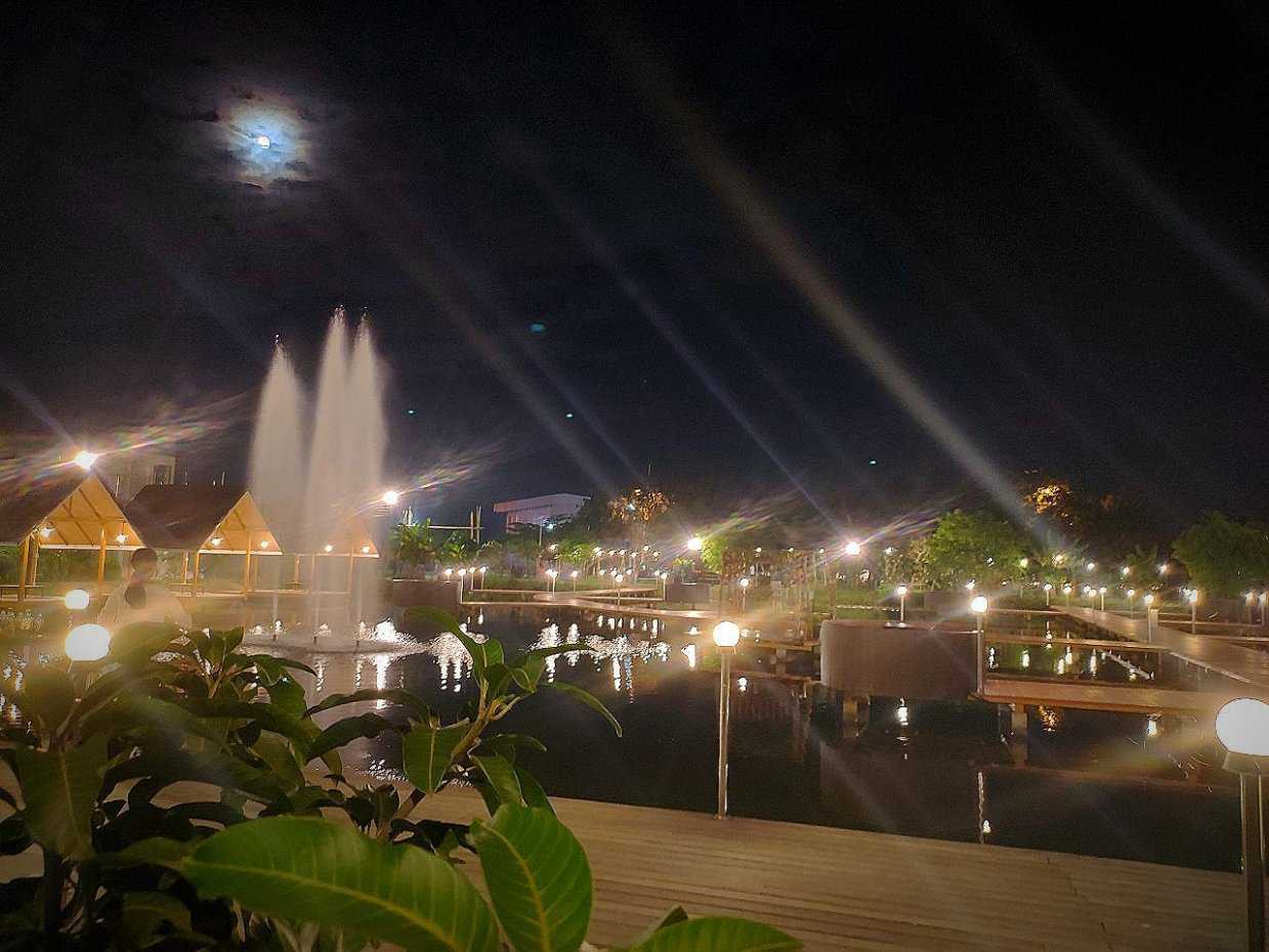 วิช ฟาร์ม