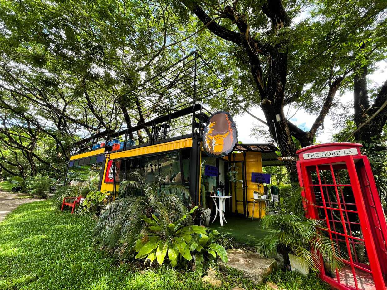 กอริลลา คาเฟ่ แอนด์ บาร์